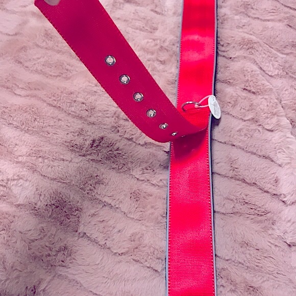 🎉HP🎉 🆕 Big Dog•Padded Collar Reflect*Pull-Tested1000lbs - Picture 8 of 15